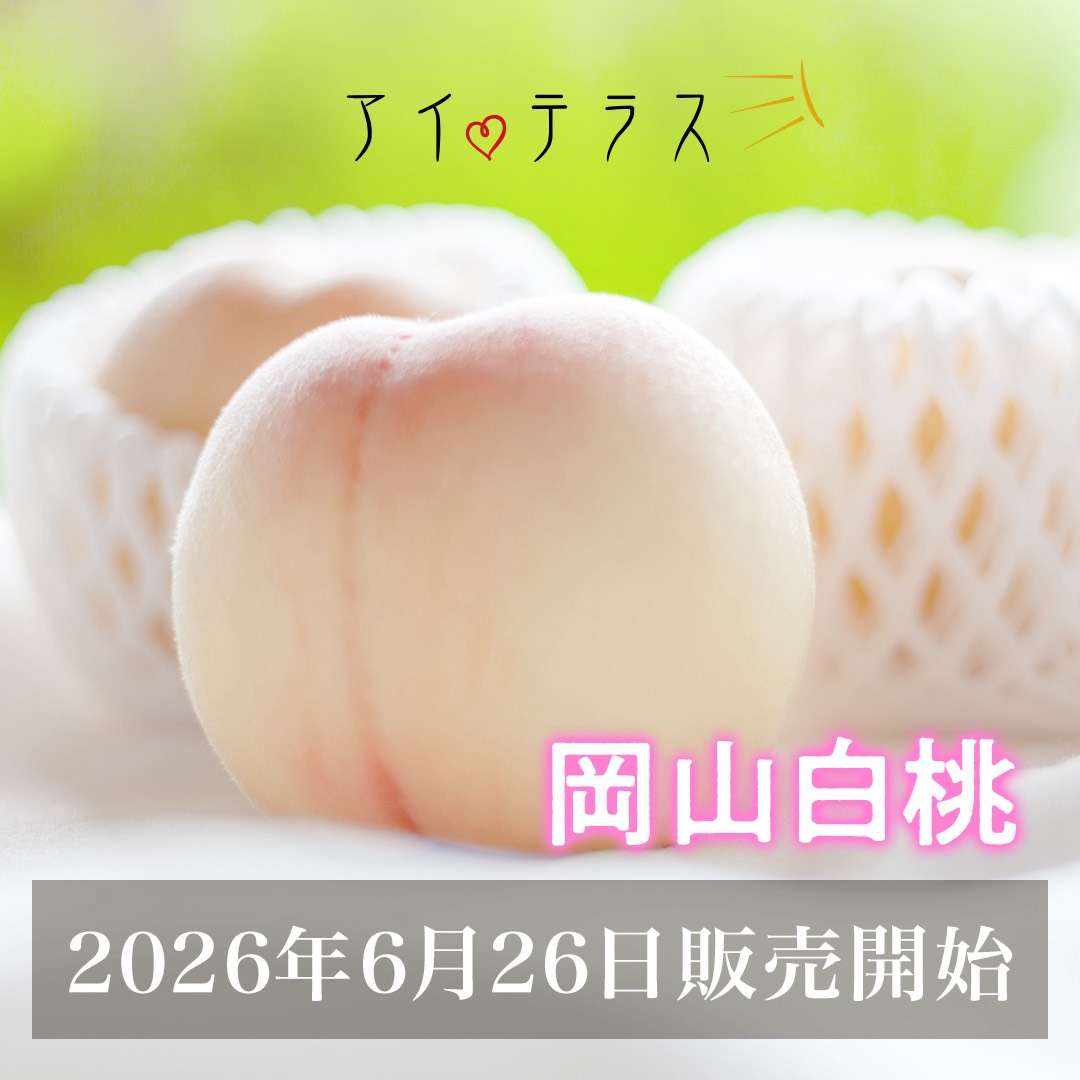 食の和・人の和】岡山白桃2026販売開始！ | えこ便